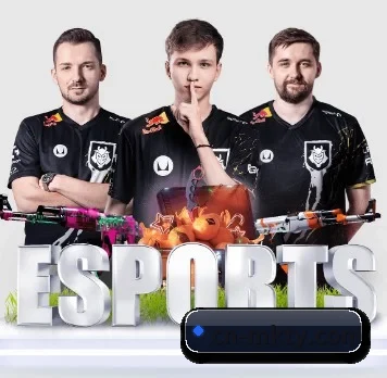 国际化进程 - Kaiyun Esports